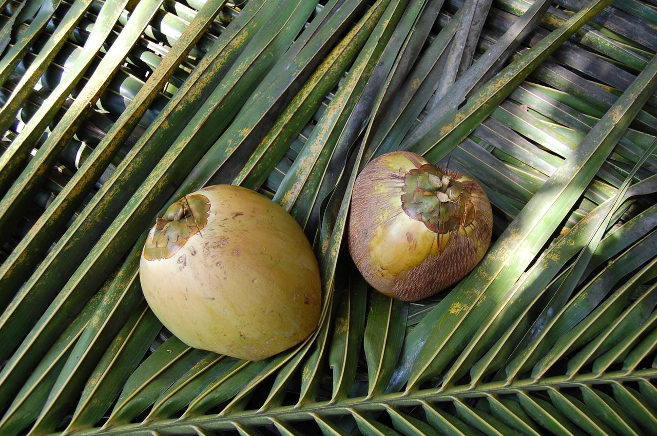 Mamba Point Hotel Monrovia Kültér fotó